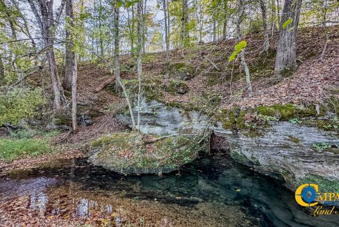 Middle Fork Central Tennessee Land for Sale-58