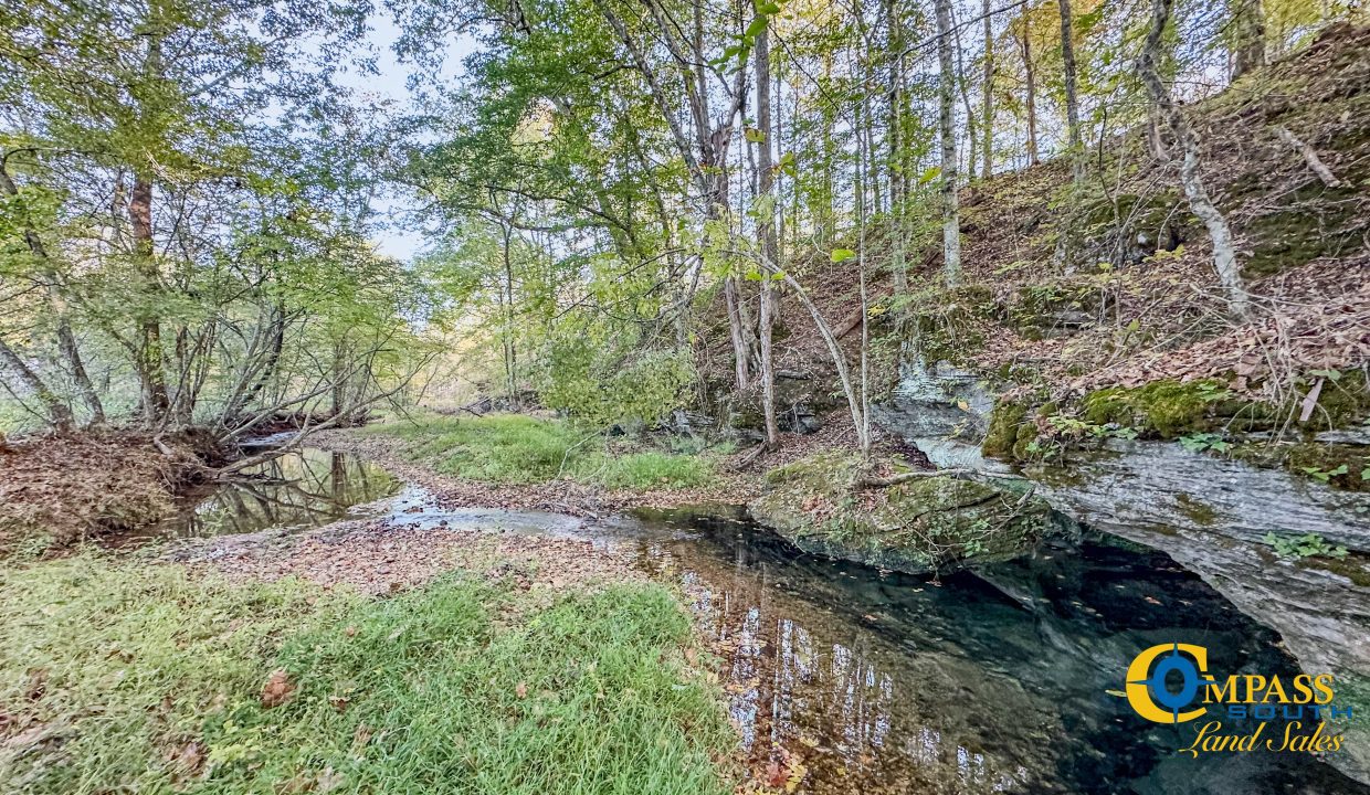 Middle Fork Central Tennessee Land for Sale-60