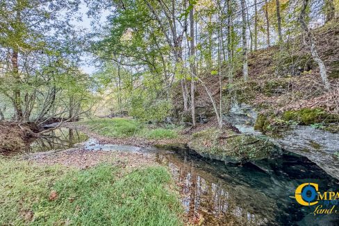 Middle Fork Central Tennessee Land for Sale-60