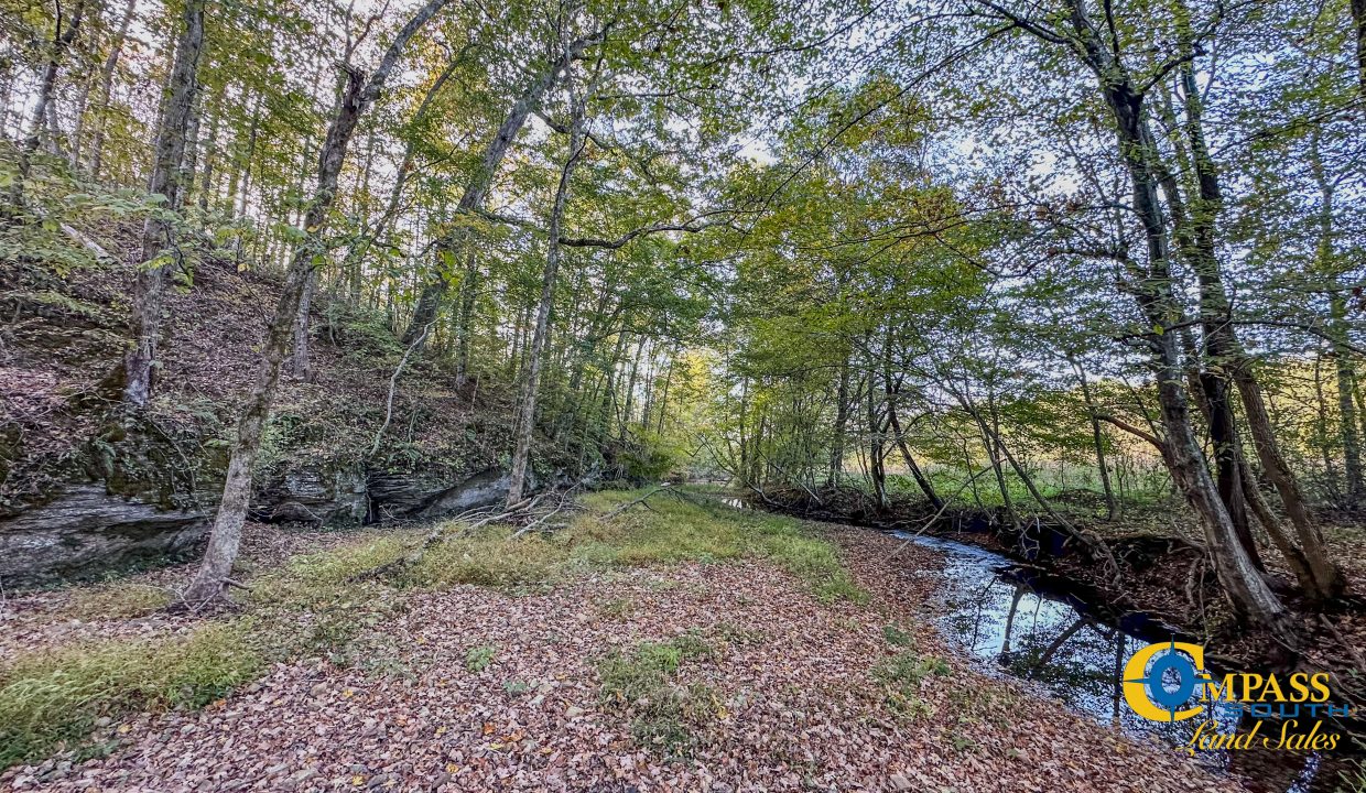 Middle Fork Central Tennessee Land for Sale-61