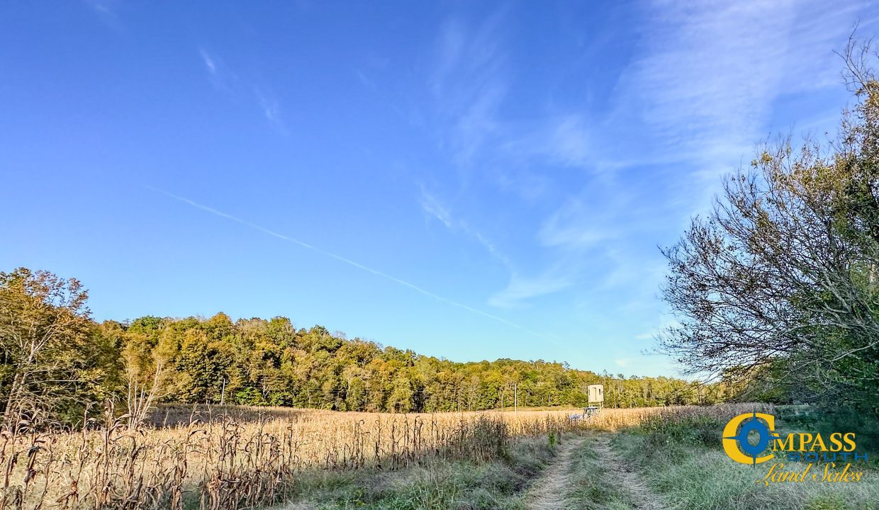 Middle Fork Central Tennessee Land for Sale-63