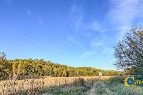 Middle Fork Central Tennessee Land for Sale-63