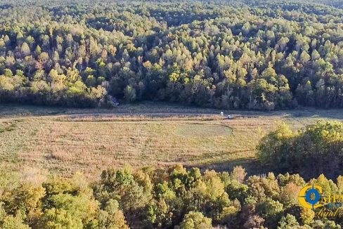 Middle Fork Central Tennessee Land for Sale-64