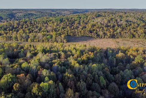 Middle Fork Central Tennessee Land for Sale-72