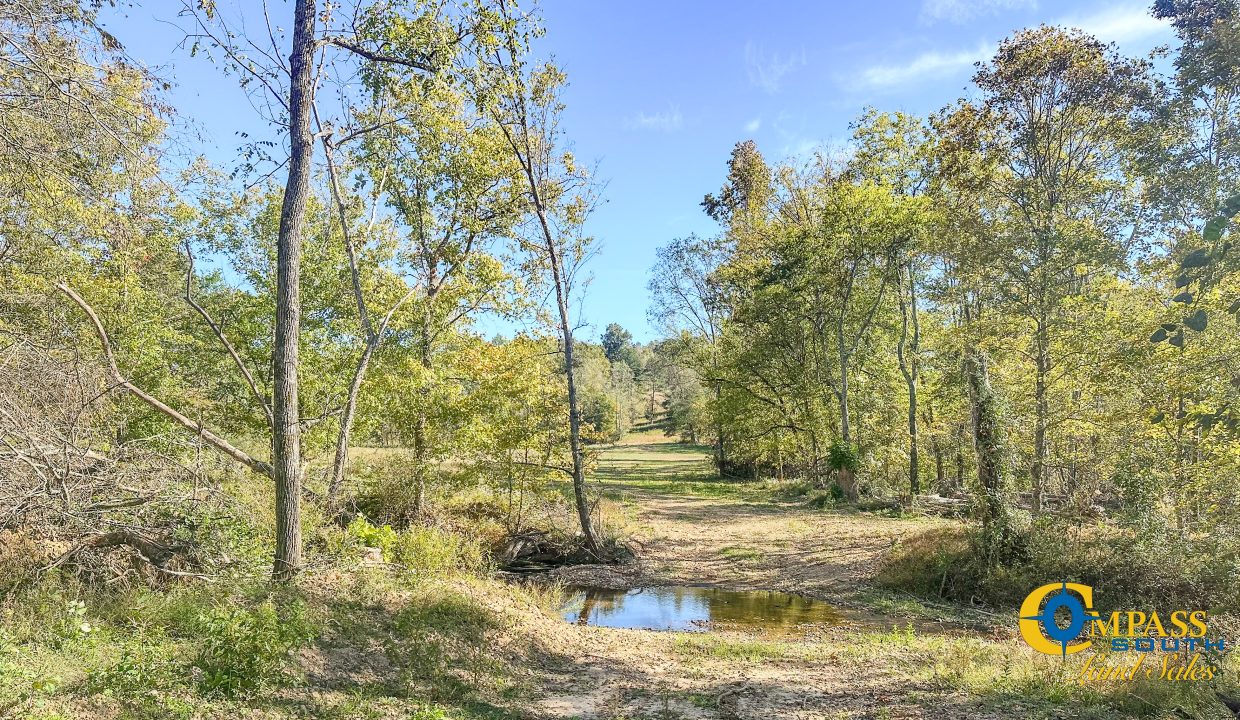 Middle Fork East Tennessee Land for Sale-07