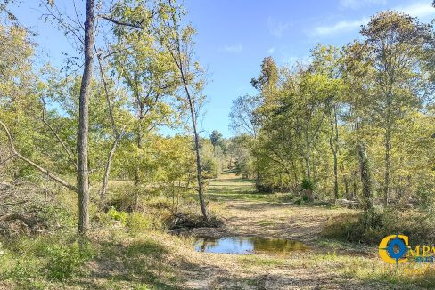 Middle Fork East Tennessee Land for Sale-07