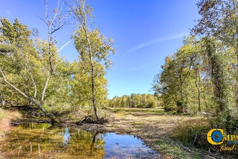 Middle Fork East Tennessee Land for Sale-08