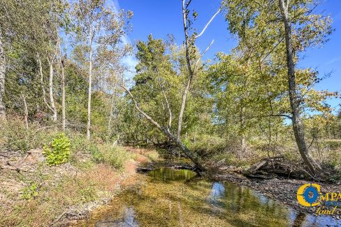 Middle Fork East Tennessee Land for Sale-09