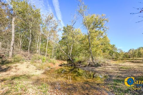 Middle Fork East Tennessee Land for Sale-11