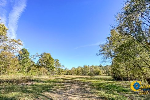 Middle Fork East Tennessee Land for Sale-12