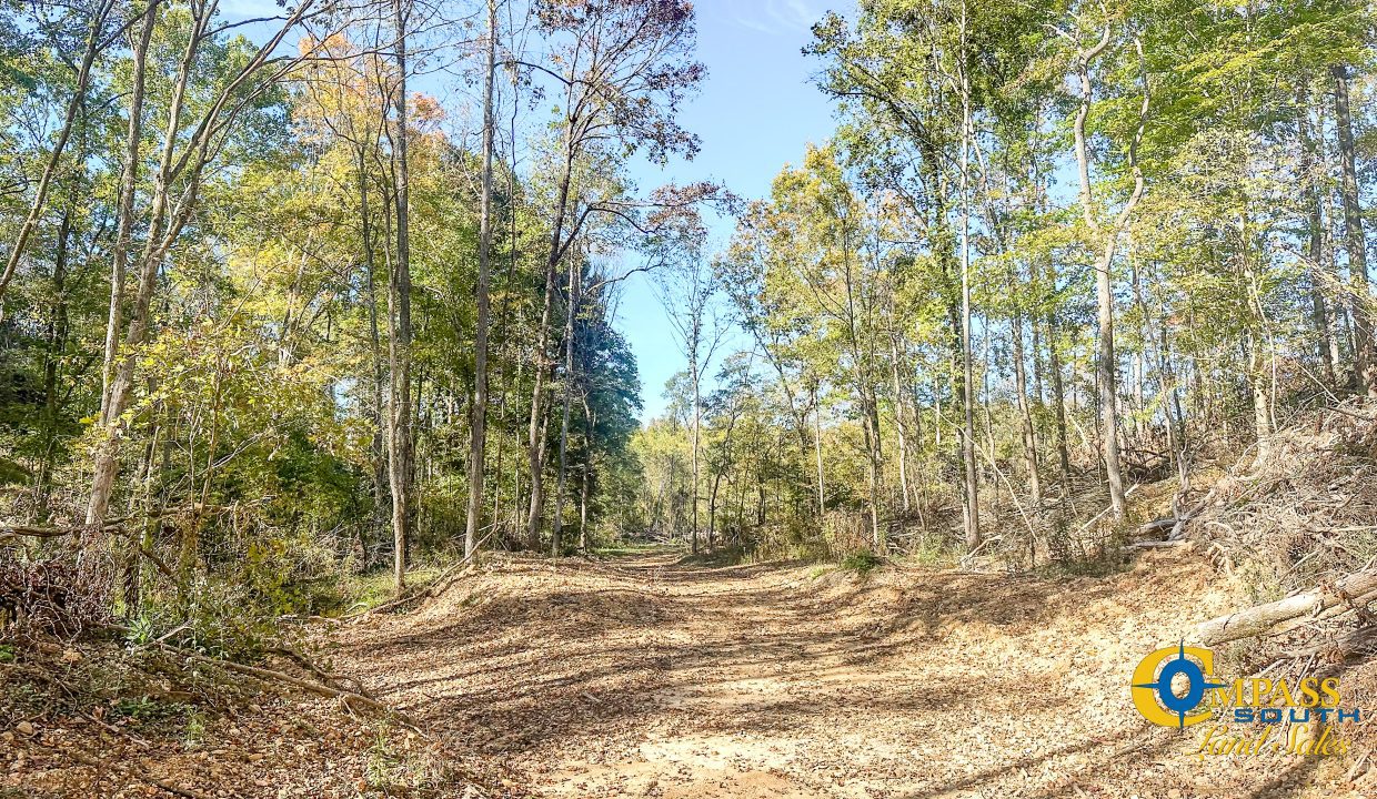 Middle Fork East Tennessee Land for Sale-19