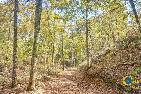 Middle Fork East Tennessee Land for Sale-20