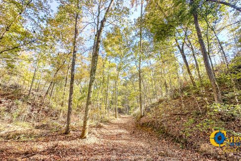 Middle Fork East Tennessee Land for Sale-21