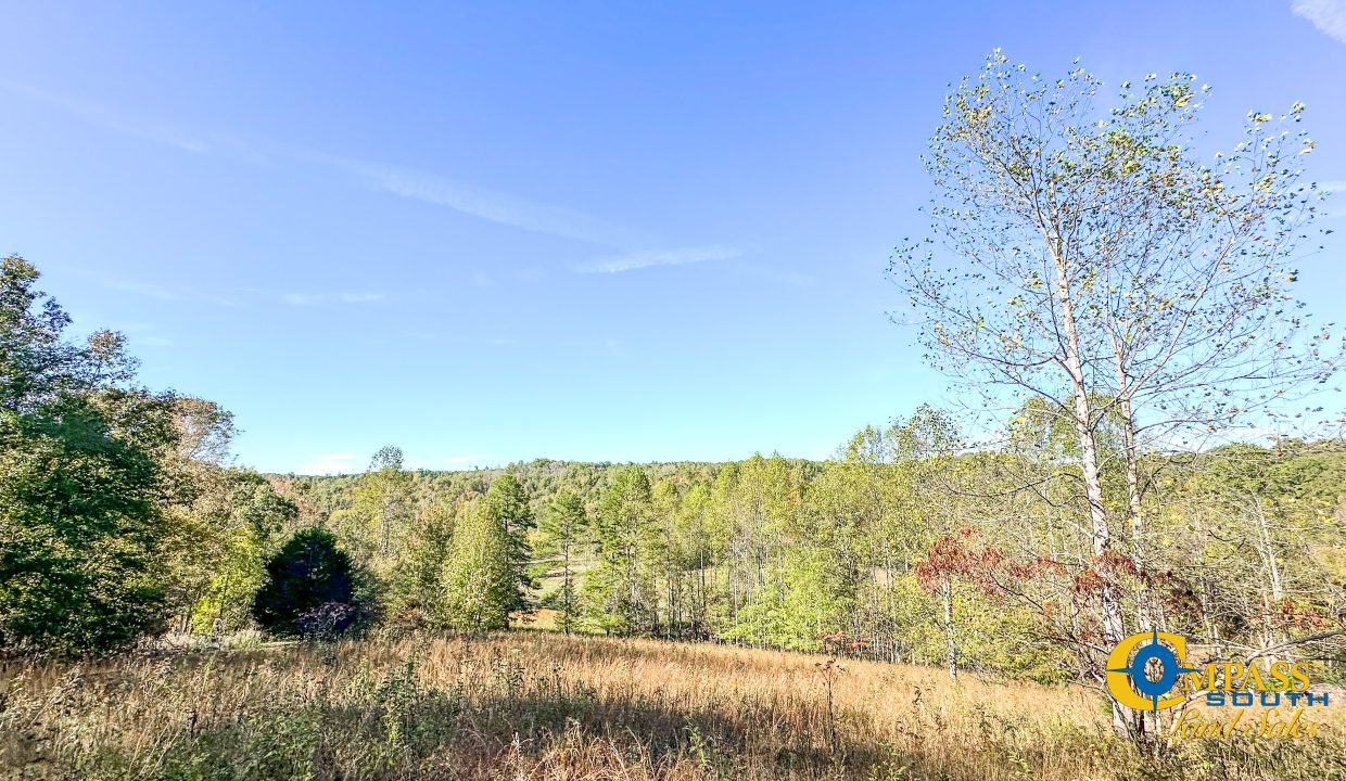 Middle Fork East Tennessee Land for Sale-22