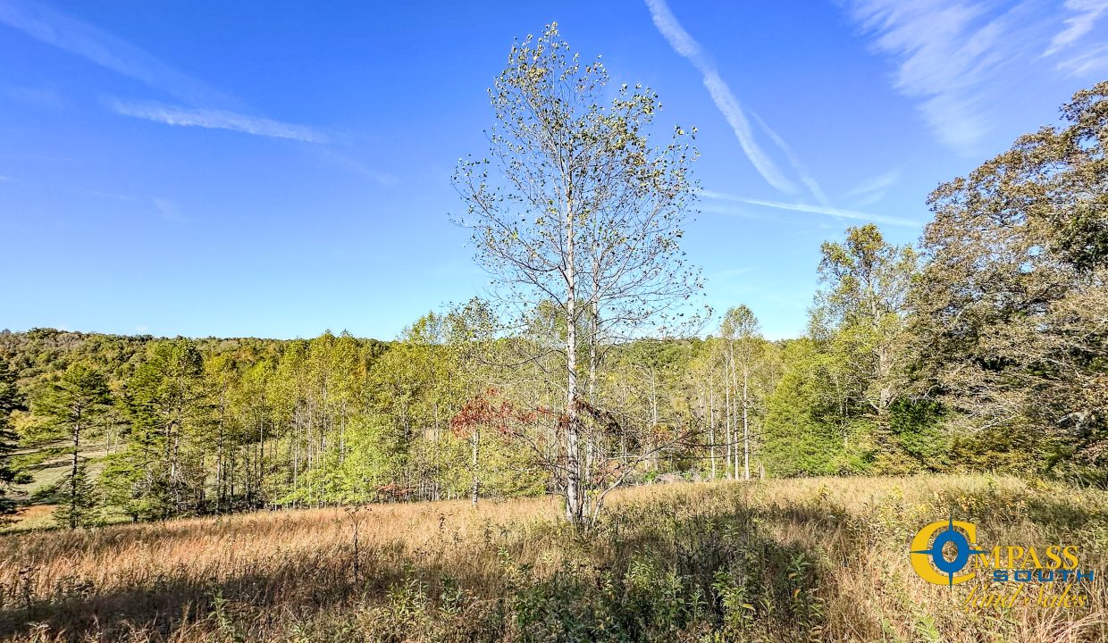 Middle Fork East Tennessee Land for Sale-23