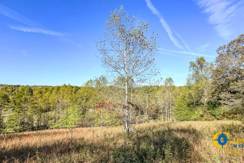 Middle Fork East Tennessee Land for Sale-23