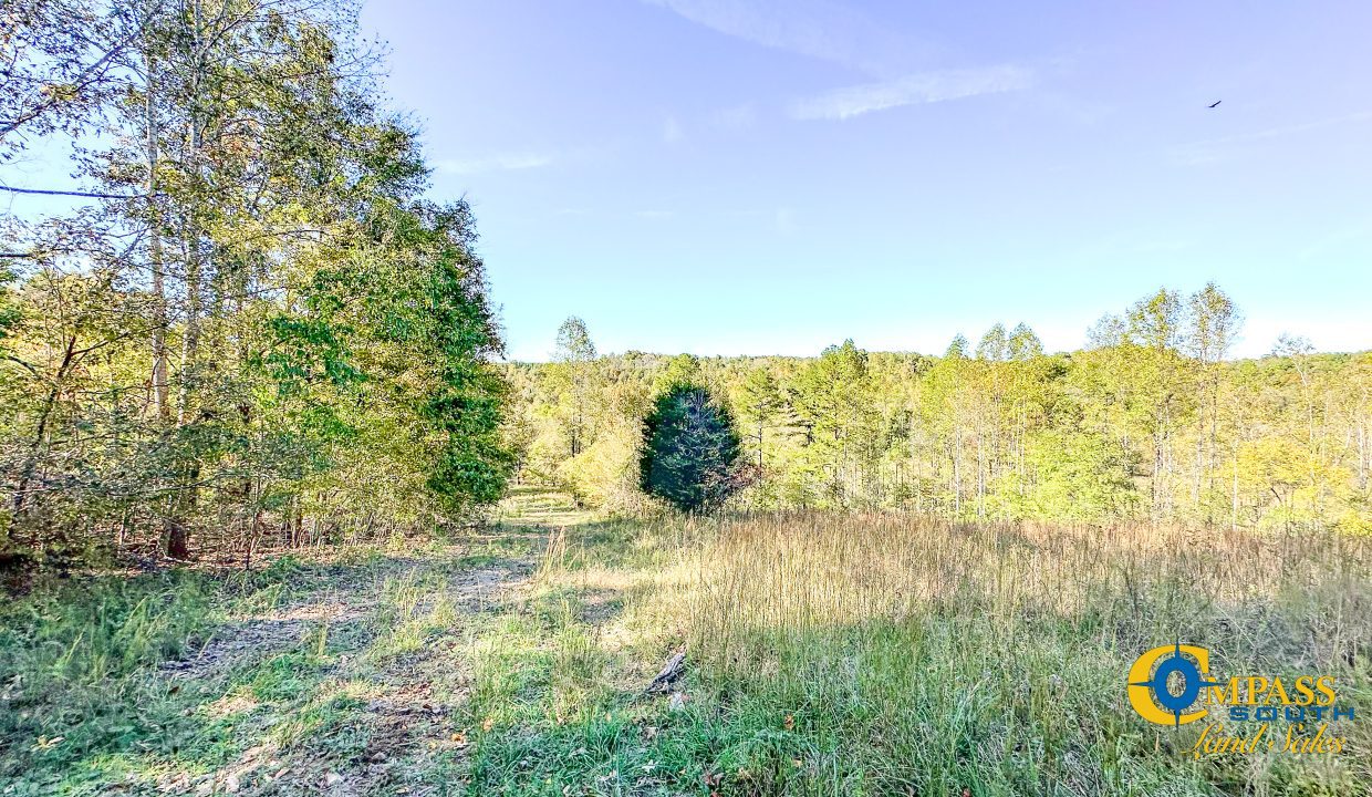 Middle Fork East Tennessee Land for Sale-25