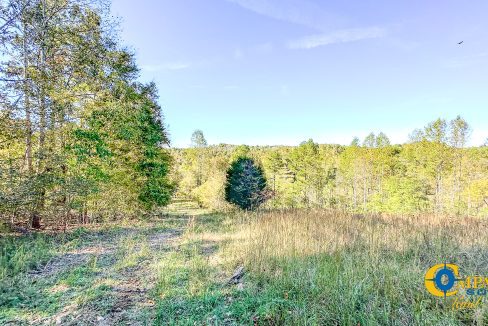 Middle Fork East Tennessee Land for Sale-25