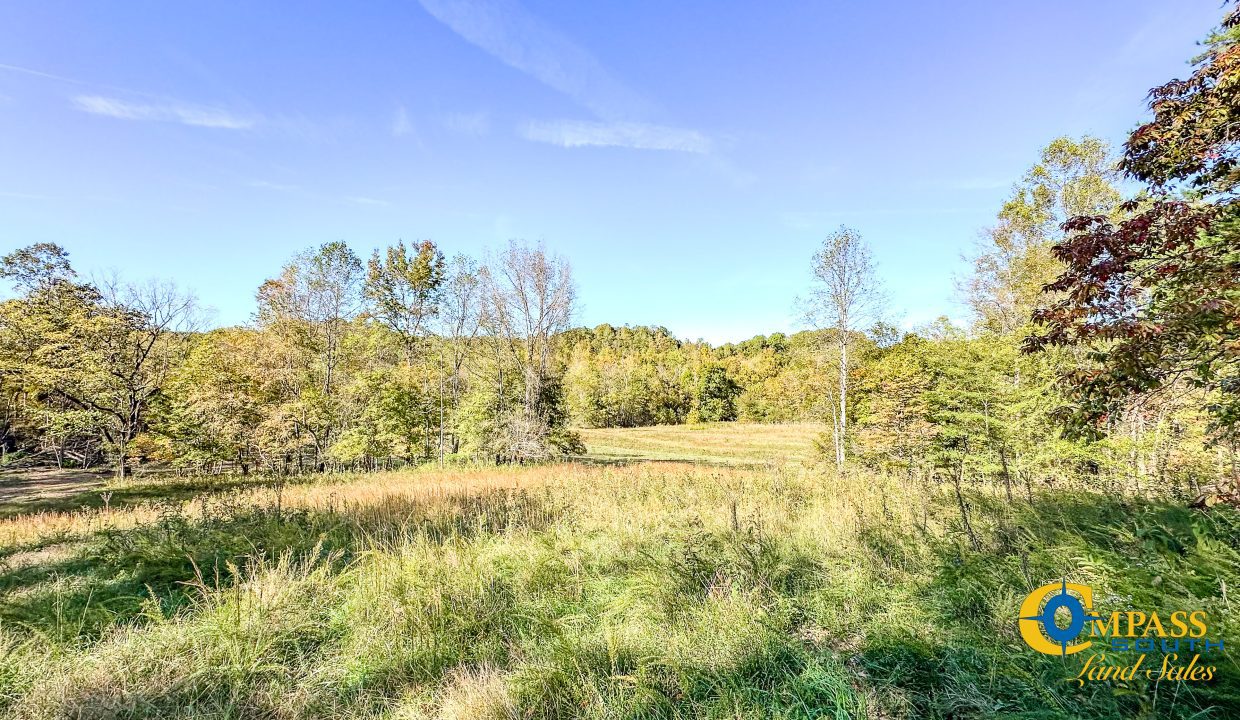 Middle Fork East Tennessee Land for Sale-26