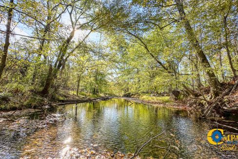 Middle Fork East Tennessee Land for Sale-30