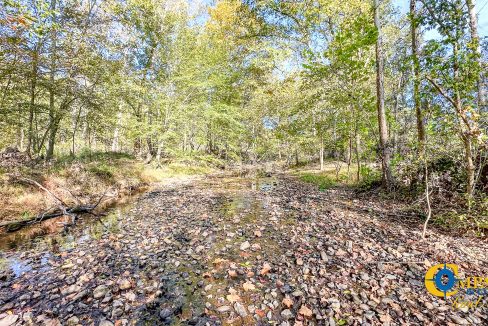 Middle Fork East Tennessee Land for Sale-32