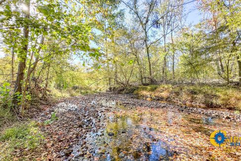 Middle Fork East Tennessee Land for Sale-33