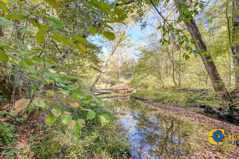 Middle Fork East Tennessee Land for Sale-34