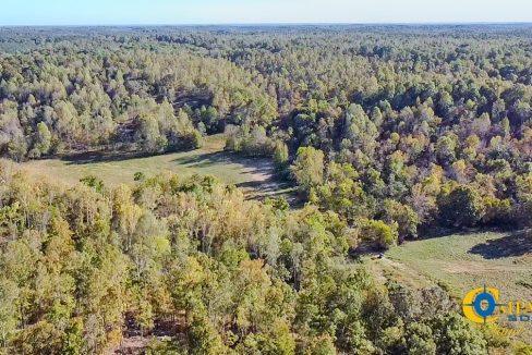 Middle Fork East Tennessee Land for Sale-39