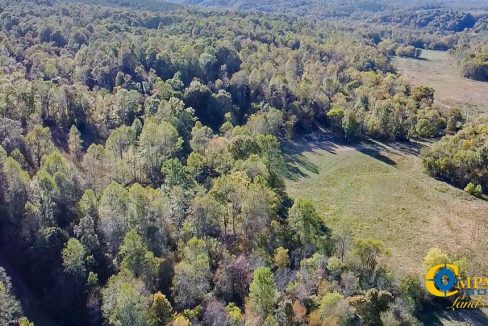 Middle Fork East Tennessee Land for Sale-42