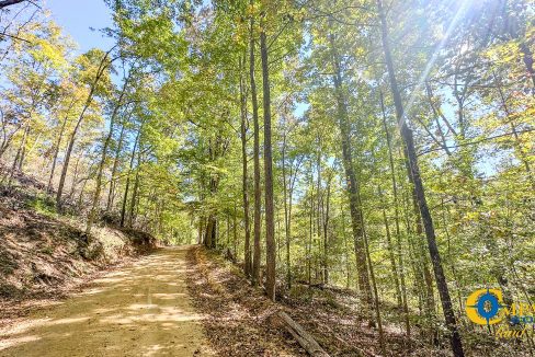 Middle Fork West Tennessee Land for Sale-33