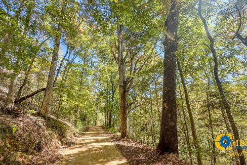 Middle Fork West Tennessee Land for Sale-34