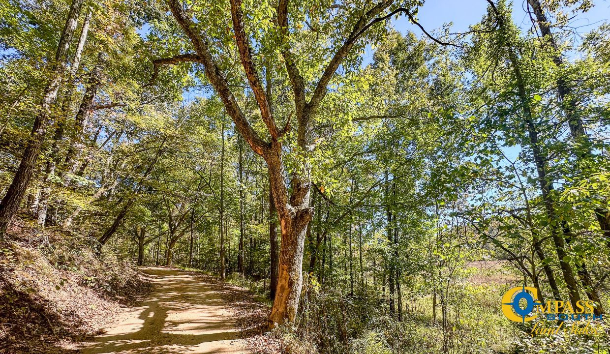 Middle Fork West Tennessee Land for Sale-35