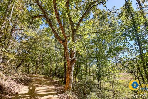 Middle Fork West Tennessee Land for Sale-35