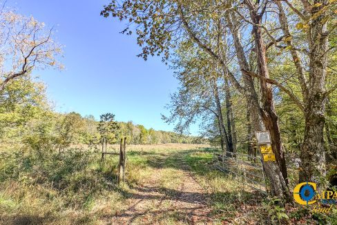 Middle Fork West Tennessee Land for Sale-38