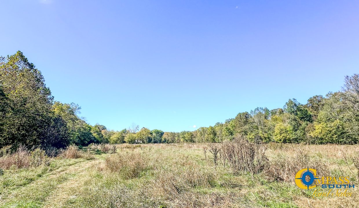 Middle Fork West Tennessee Land for Sale-39