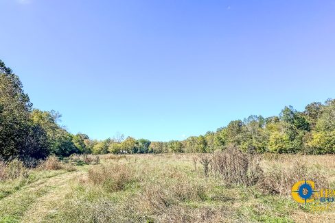 Middle Fork West Tennessee Land for Sale-39