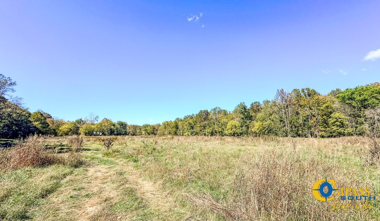 Middle Fork West Tennessee Land for Sale-40