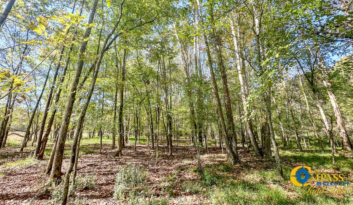 Middle Fork West Tennessee Land for Sale-43