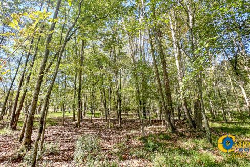 Middle Fork West Tennessee Land for Sale-43