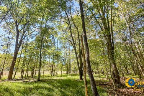 Middle Fork West Tennessee Land for Sale-45