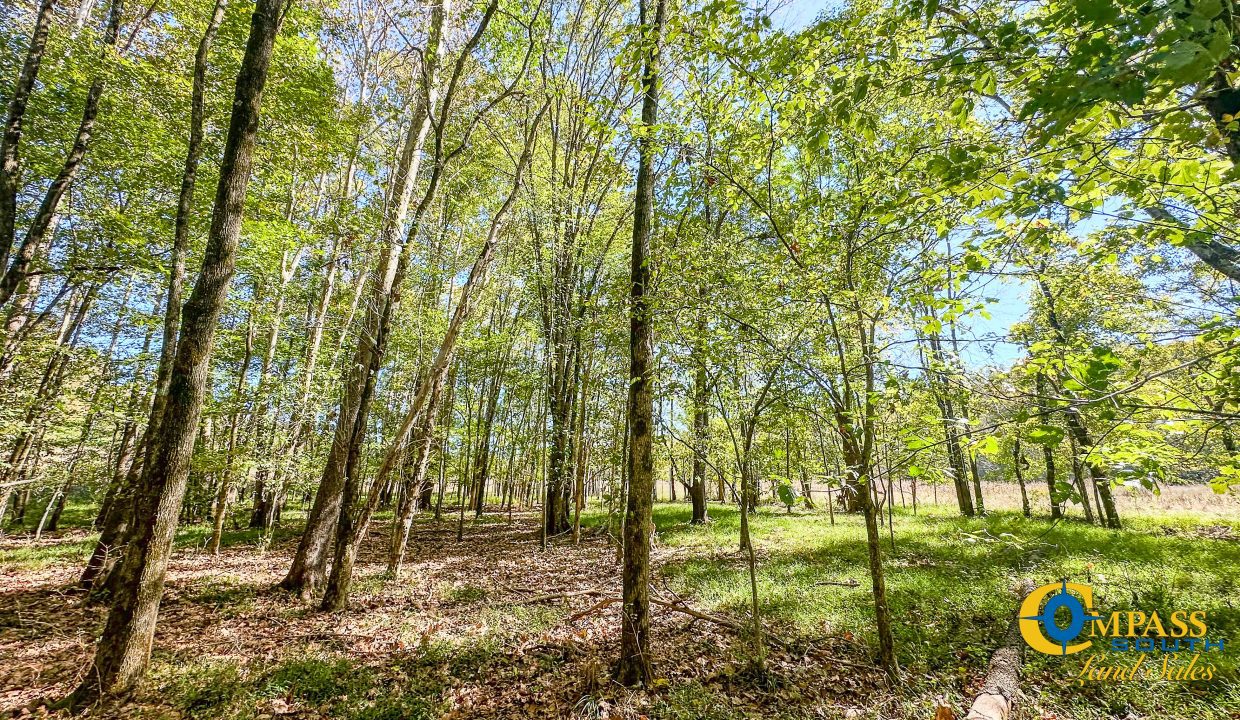 Middle Fork West Tennessee Land for Sale-46