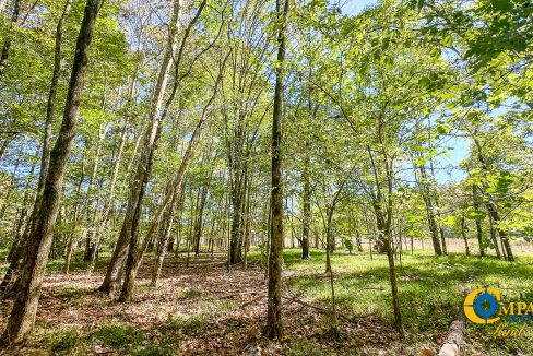 Middle Fork West Tennessee Land for Sale-46