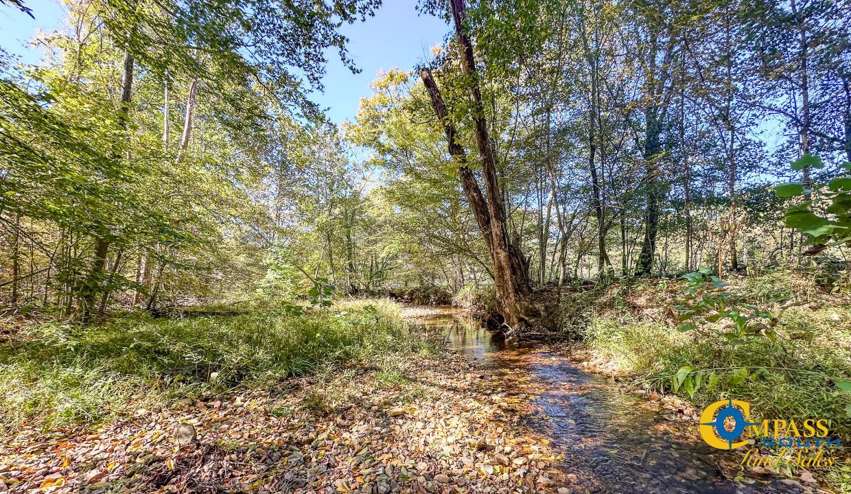 Middle Fork West Tennessee Land for Sale-48