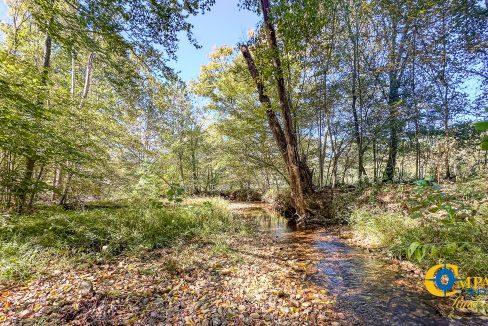 Middle Fork West Tennessee Land for Sale-48