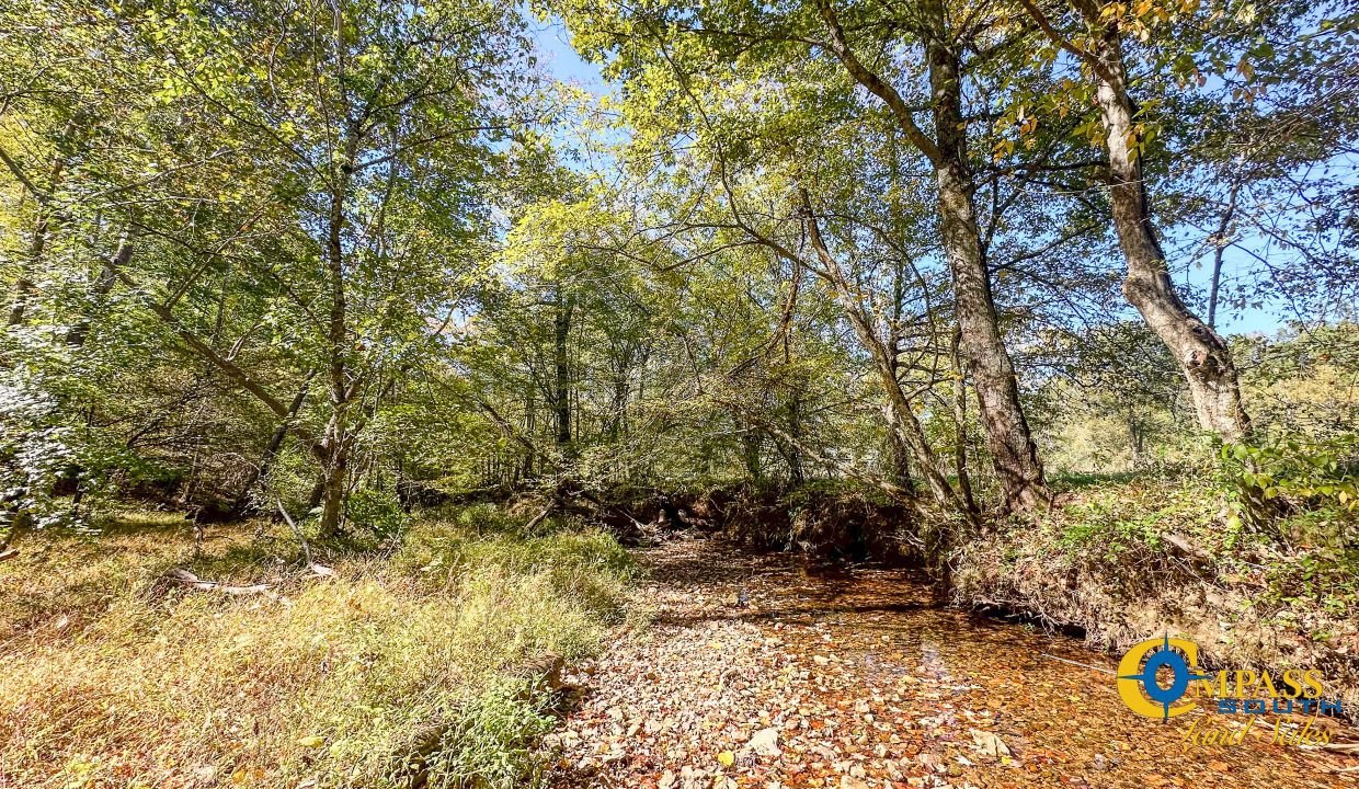 Middle Fork West Tennessee Land for Sale-49