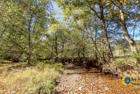 Middle Fork West Tennessee Land for Sale-49