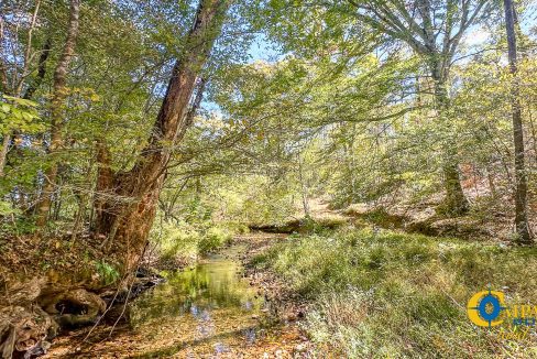 Middle Fork West Tennessee Land for Sale-50