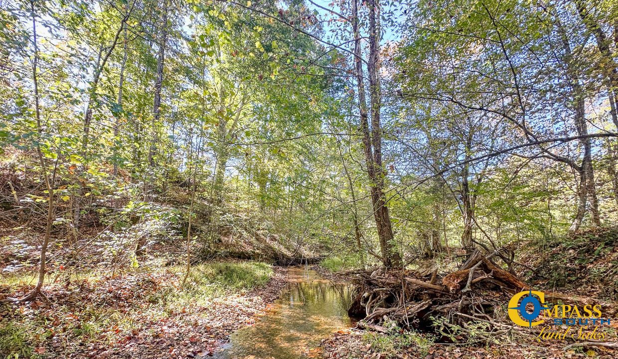 Middle Fork West Tennessee Land for Sale-51