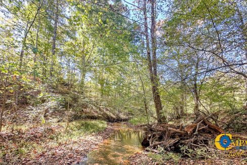 Middle Fork West Tennessee Land for Sale-51