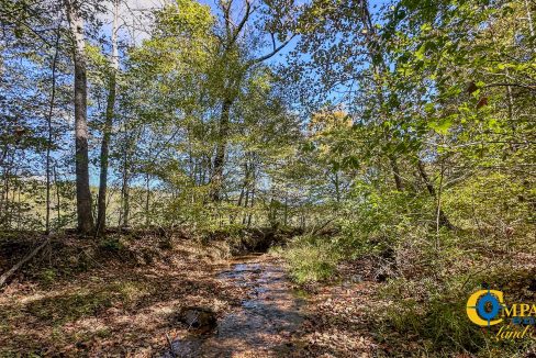 Middle Fork West Tennessee Land for Sale-52